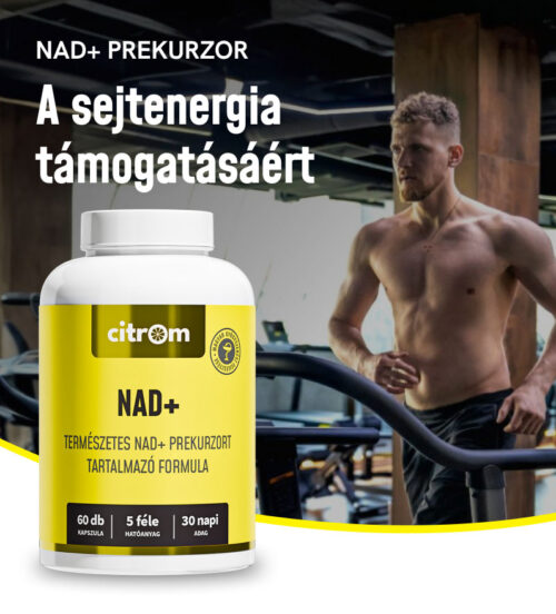 Nad+ kapszula (6Odb)