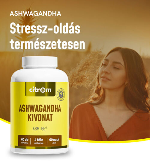 Ashwagandha Kivonat kapszula (6Odb)