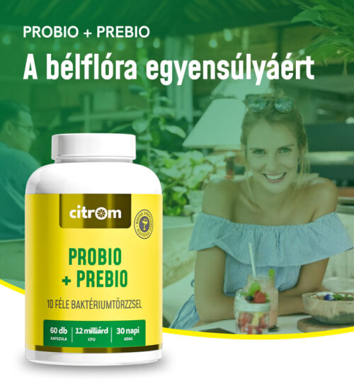 Probio + Prebio kapszula (6Odb)