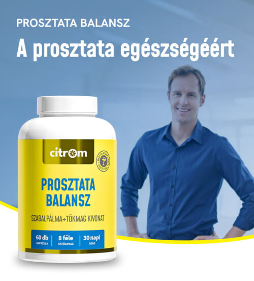 Prosztata Balansz kapszula (6Odb)