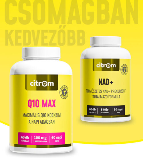 Q10 Max + NAD+ Prekurzor