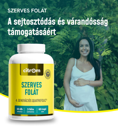 Szerves Folát kapszula (6Odb)