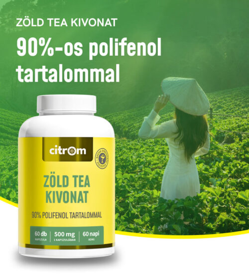 Zöld Tea kivonat kapszula (6Odb)