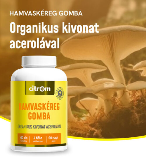 Hamvaskéreg Gomba kapszula (6Odb)
